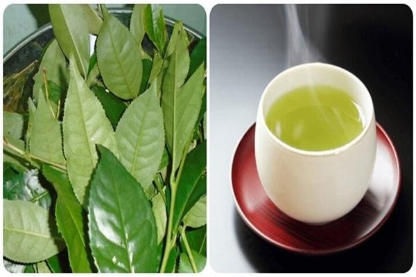Tác hại của nước chè xanh nếu bạn uống sai cách-2