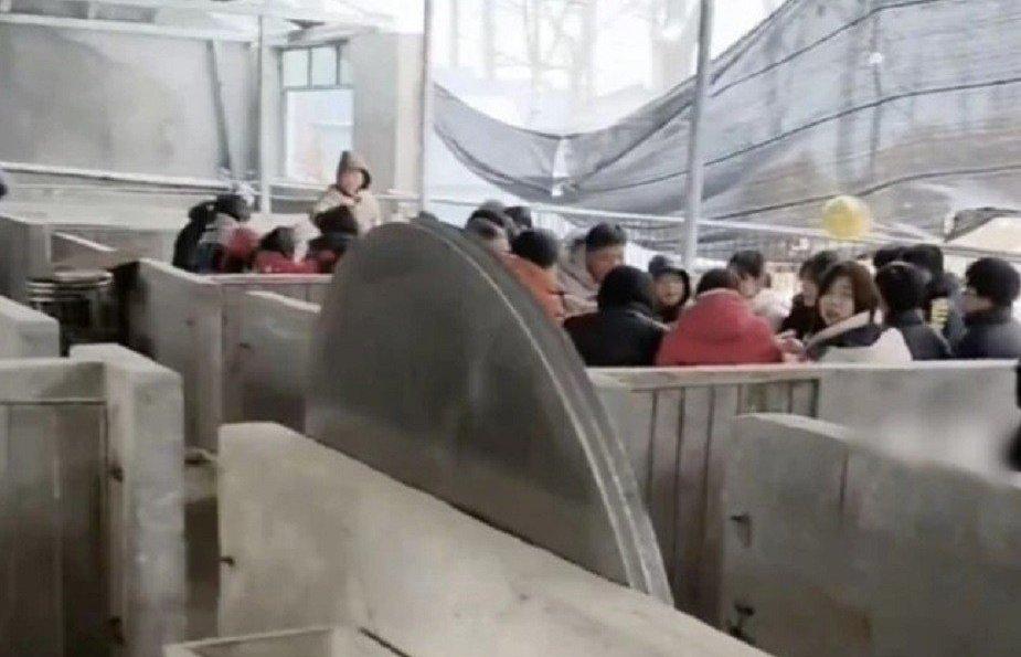 Đám cưới được tổ chức trong chuồng lợn vì lý do đặc biệt-1