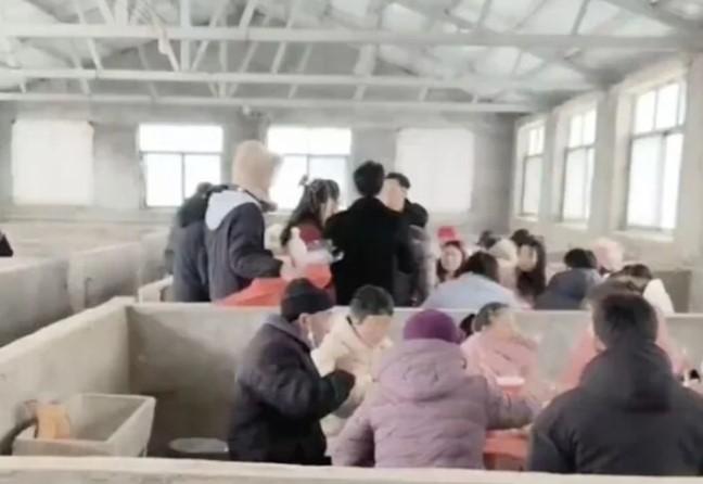 Đám cưới được tổ chức trong chuồng lợn vì lý do đặc biệt-2