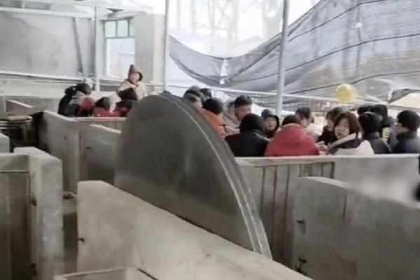 Kết hôn nhiều năm mới biết chồng có con rơi, vợ làm chuyện không ai ngờ-4