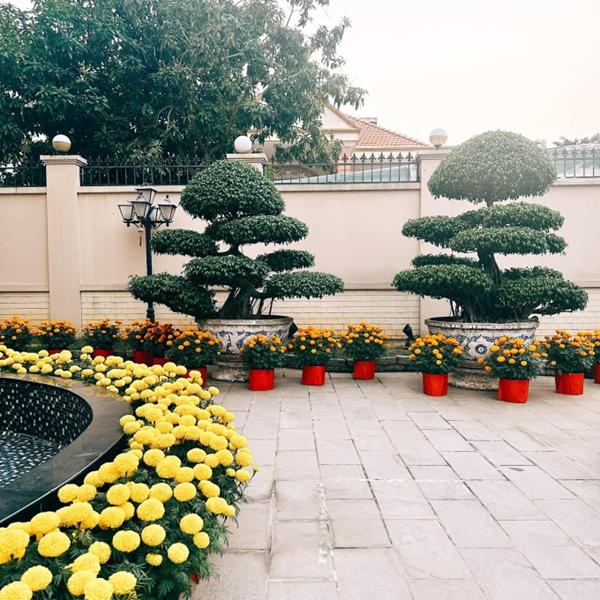 Tết đầu tiên làm dâu tỷ phú, Linh Rin hé lộ biệt thự khủng trang hoàng lộng lẫy, làm một việc ý nghĩa đón Tết-3