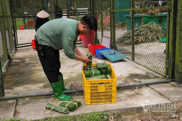 Ở nơi gấu được ăn bánh chưng, bánh tét-1