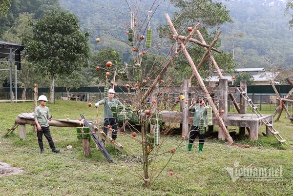 Ở nơi gấu được ăn bánh chưng, bánh tét-4