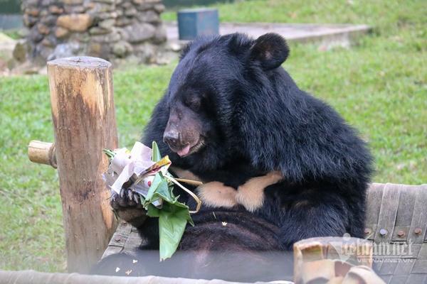 Ngôi chùa nổi tiếng Hà Nội đông kín người đến cầu duyên ngày lễ tình yêu-11