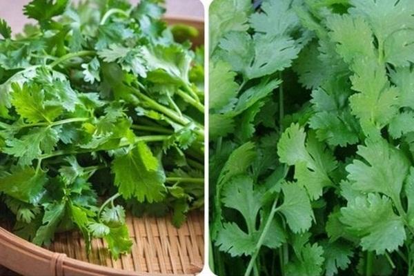 Những mâm cơm gia đình giải ngán ngon tuyệt sau cao lương mỹ vị ngày Tết-12