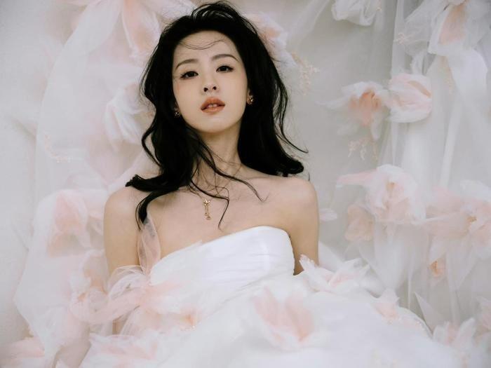 Hé lộ học vấn khủng của ác nữ Trần Đô Linh: Điểm thi đại học cực cao, từng lọt top sinh viên xuất sắc-2