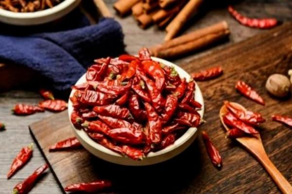 Loại ớt đắt nhất thế giới, giá nửa tỷ đồng/kg được trồng làm cảnh ở Việt Nam-4