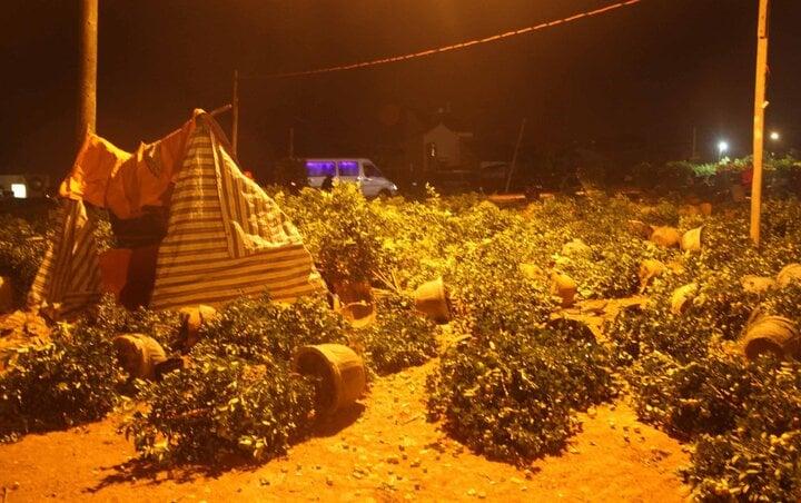 Cay cú, ăn vạ khách hàng, đập hoa, sang năm cũng không khá được-1