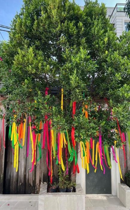 Dẫu giản dị nhưng Tăng Thanh Hà không thể thiếu 2 loài hoa kinh điển: Hết Tết vẫn đẹp!-6