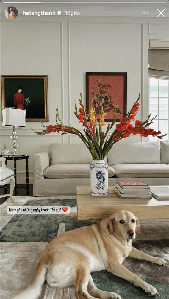 Dẫu giản dị nhưng Tăng Thanh Hà không thể thiếu 2 loài hoa kinh điển: Hết Tết vẫn đẹp!-4