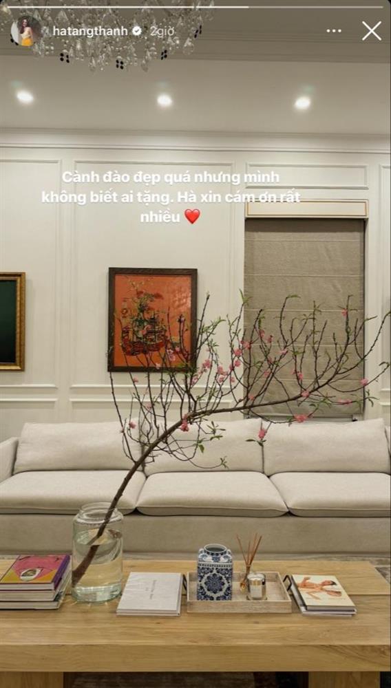 Dẫu giản dị nhưng Tăng Thanh Hà không thể thiếu 2 loài hoa kinh điển: Hết Tết vẫn đẹp!-5