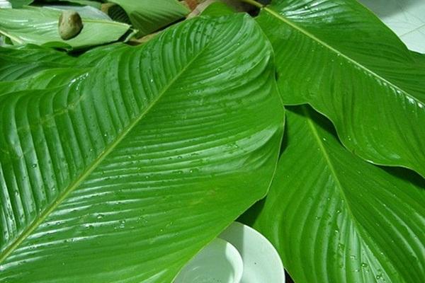 Vì sao có người uống rượu bia mãi không say, người nửa chén đã say?-2