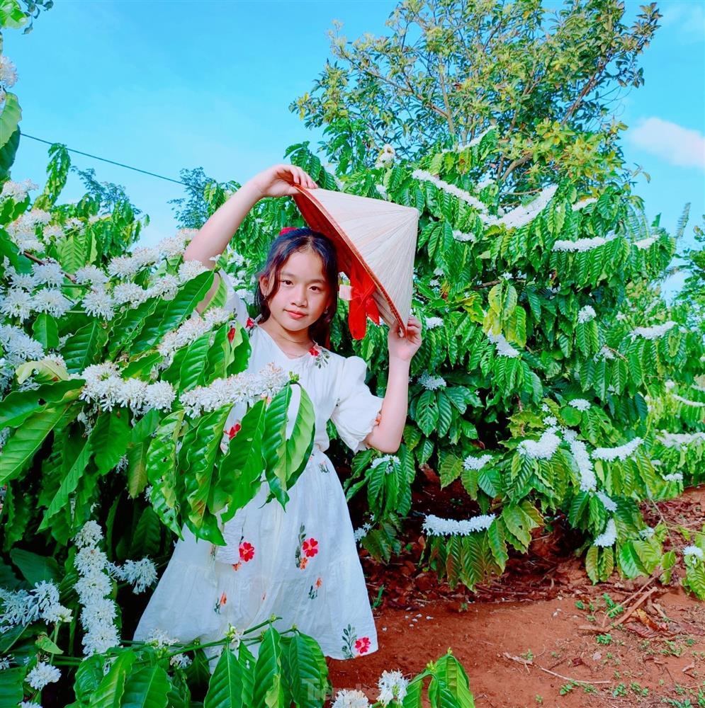 Mê mẩn mùa hoa cà phê nở trắng, tỏa hương ngọt ngào Tây Nguyên-4