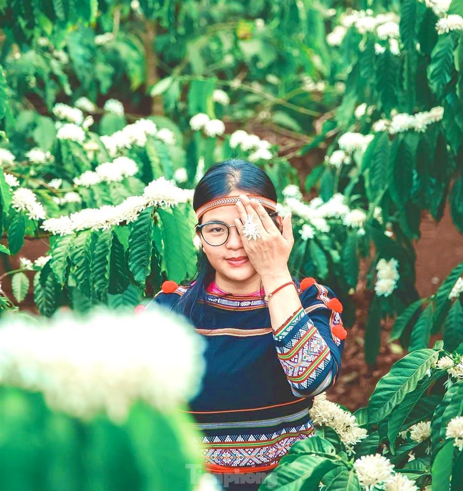 Mê mẩn mùa hoa cà phê nở trắng, tỏa hương ngọt ngào Tây Nguyên-5