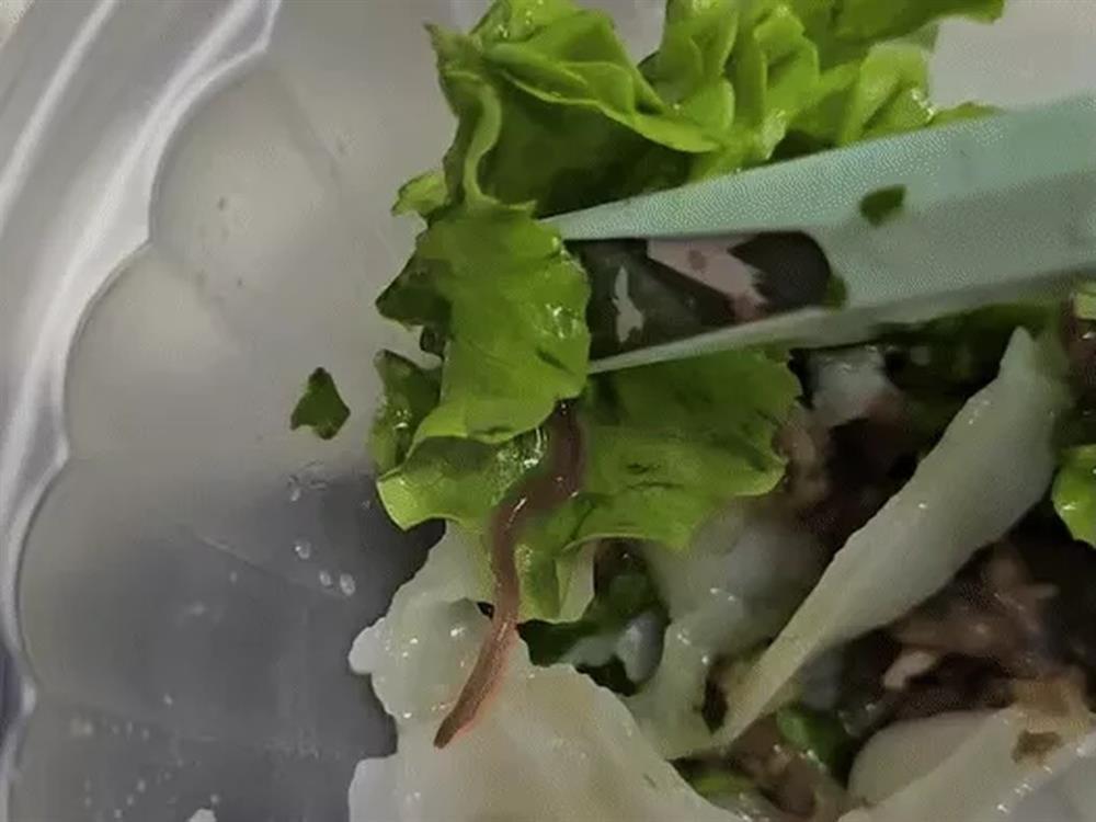 Hà Nội: Khách ăn phở cuốn sốc khi thấy giun còn sống, bám dính trên lá rau-1