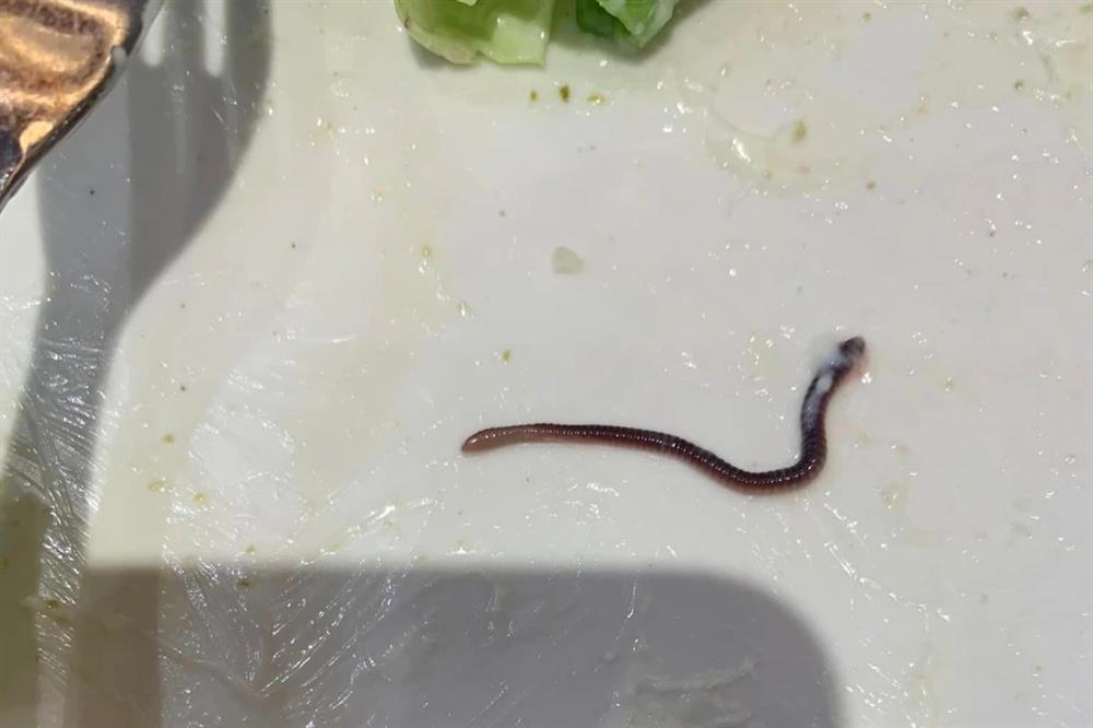 Hà Nội: Khách ăn phở cuốn sốc khi thấy giun còn sống, bám dính trên lá rau-3