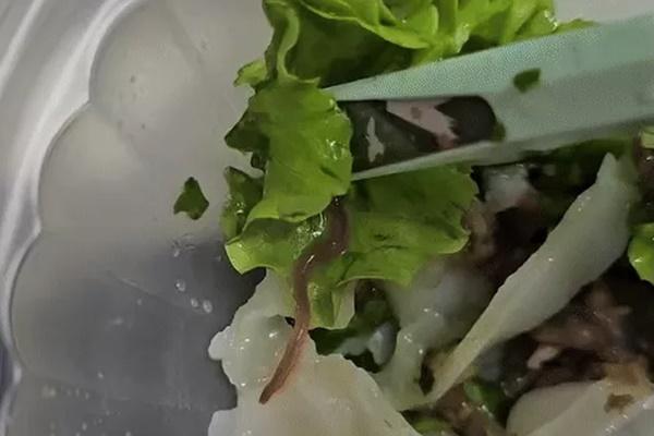 Chuyên gia Mỹ nói về giá trị dinh dưỡng của món phở-2