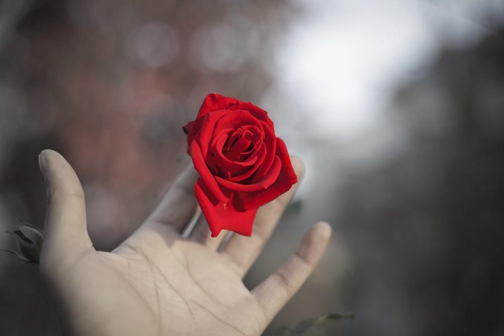 Đi Nhật làm giàu, tôi sa ngã vào cờ bạc, em phải lòng người đàn ông khác-1