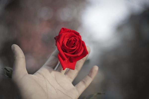 Anh họ ham mê cờ bạc nhưng lại bắt bố mẹ tôi gánh nợ thay-2