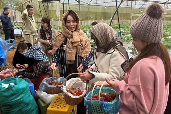 Du khách ngồi giữa ruộng bậc thang Sa Pa, nhâm nhi cà phê, ngắm mây bồng bềnh-4