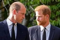 William sẽ không để Harry quay lại hoàng gia khi Vua cha ốm