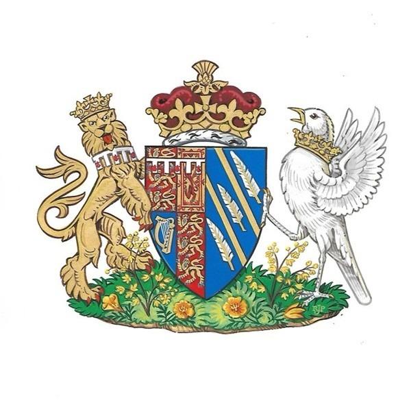 Vợ chồng Hoàng tử Harry - Meghan gây tranh cãi khi dùng lại phù hiệu Hoàng gia-2