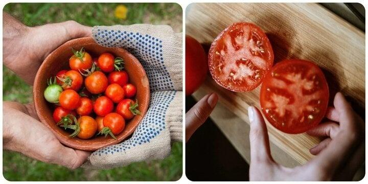 Ăn nửa quả cà chua mỗi ngày, điều gì sẽ xảy ra với cơ thể chúng ta?-1