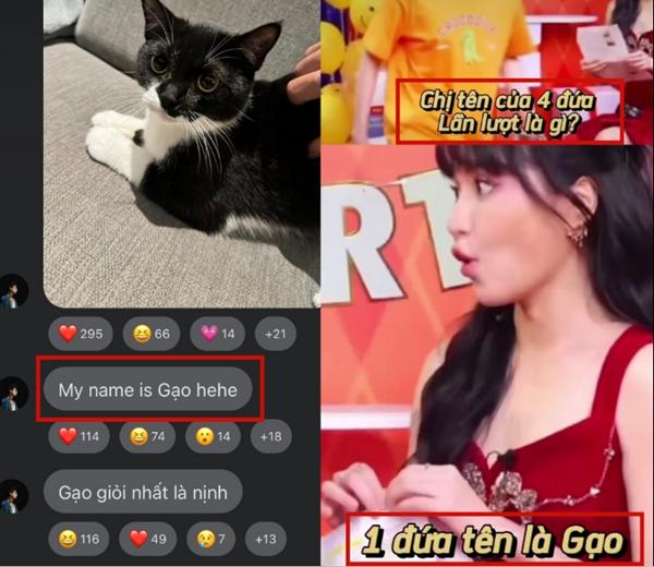 Bích Phương hẹn hò bí mật cùng đàn em kém 6 tuổi, cả hai đã dọn về sống chung nhà?-3