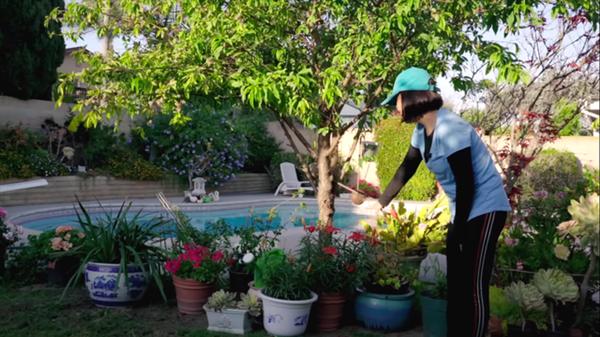 Phú bà phim Mai - Hồng Đào hiện đang sống thế nào tại Mỹ?-4