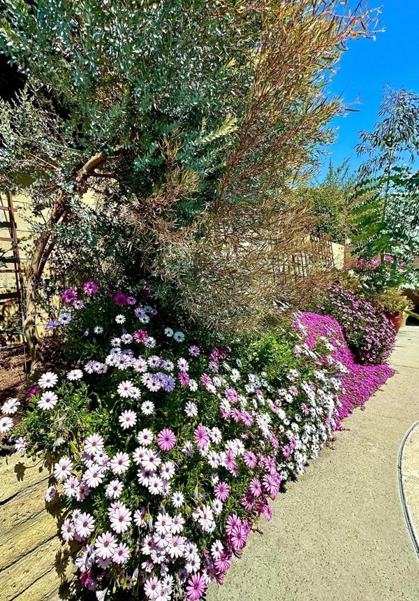 Phú bà phim Mai - Hồng Đào hiện đang sống thế nào tại Mỹ?-10