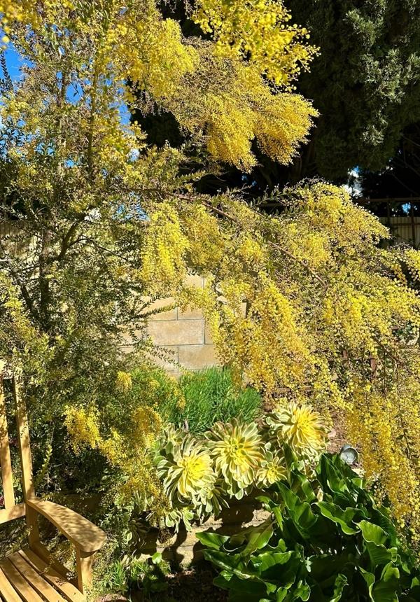 Phú bà phim Mai - Hồng Đào hiện đang sống thế nào tại Mỹ?-13