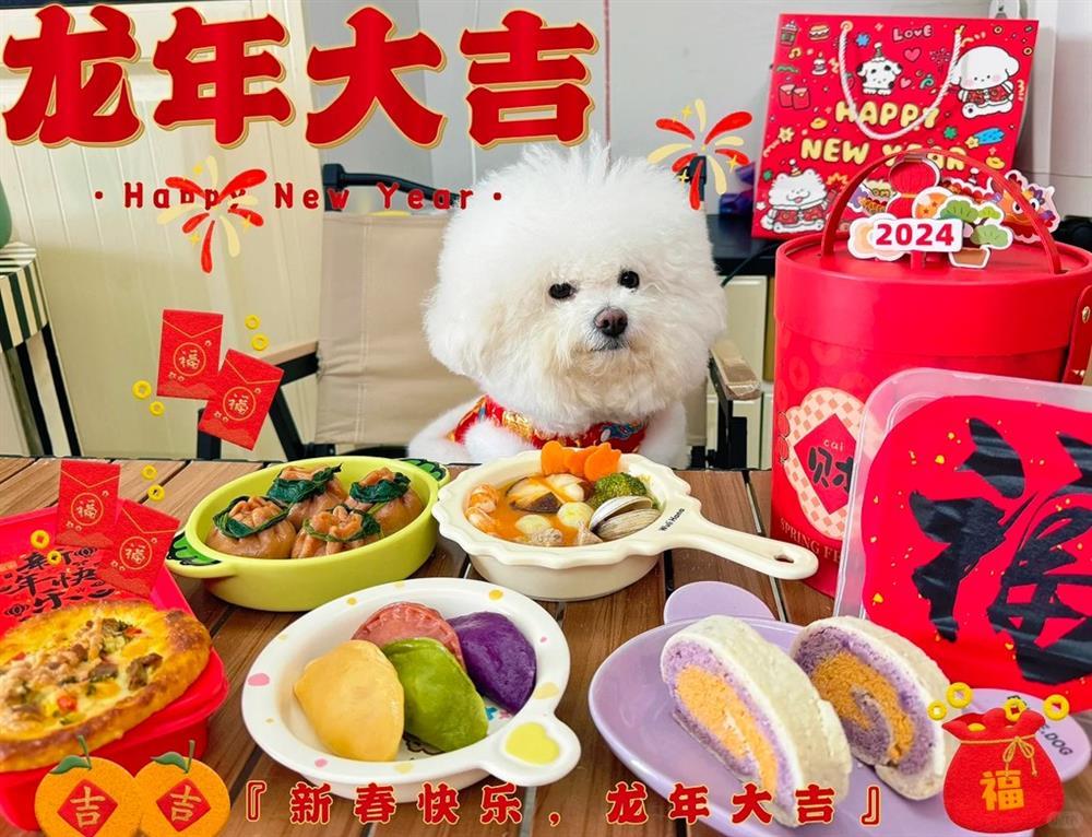 Vì sao vào dịp Tết, thú cưng ở Trung Quốc lại sướng như vua?-1