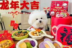 Vì sao vào dịp Tết, thú cưng ở Trung Quốc lại 'sướng như vua'?