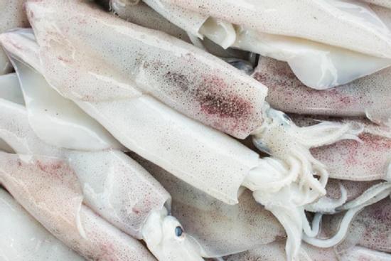 Cách phân biệt mực tươi và mực từng cấp đông