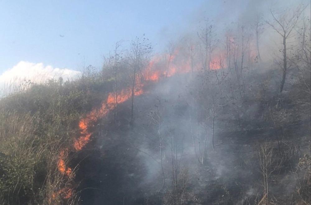 Đã khống chế được cháy rừng ở Lào Cai-1