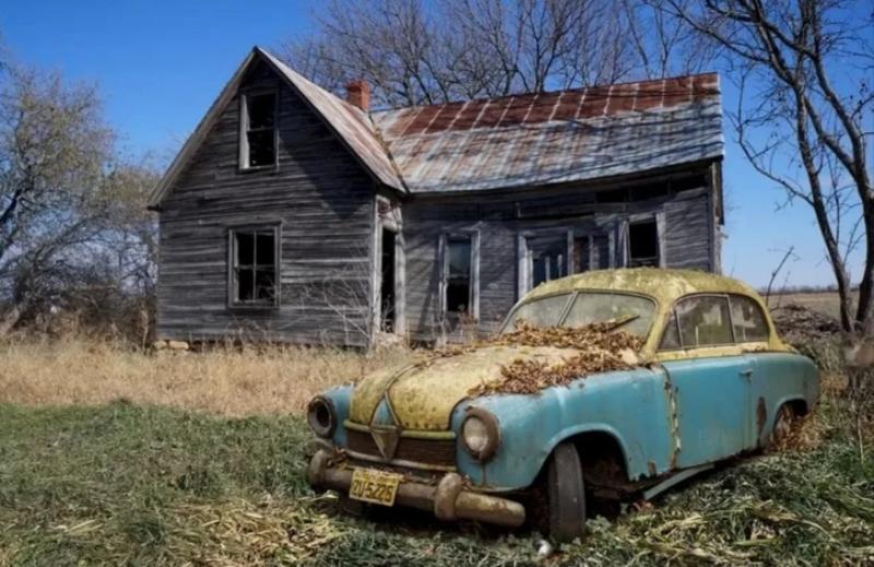 Thử thách tìm con cáo ẩn nấp trong bức ảnh: Nếu làm được bạn sẽ lọt vào top 2% người thông minh giải được câu đố-1