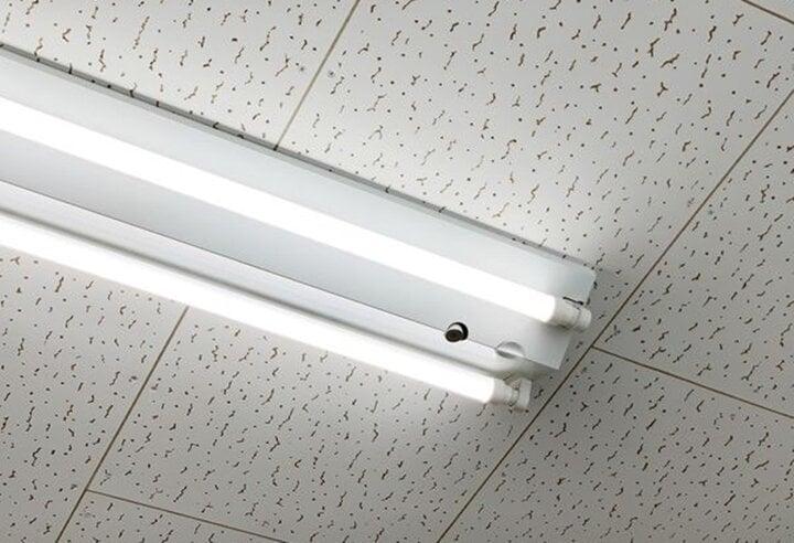 Thay bóng đèn nhà mới, chàng shipper sốc nặng khi thấy kho báu hơn 200 tỷ đồng-1