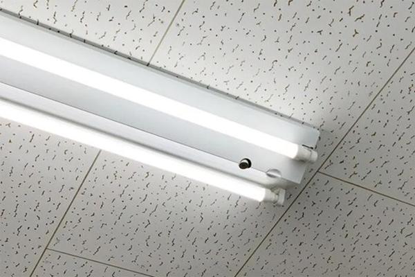 Cụ già chôn 680 triệu đồng xuống đất, lúc hấp hối mới hé lộ với con cháu-2