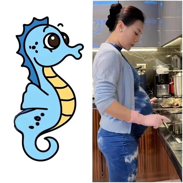 Phương Oanh hé lộ sức khỏe những tháng cuối thai kỳ, tự so sánh mình với con cá ngựa-1