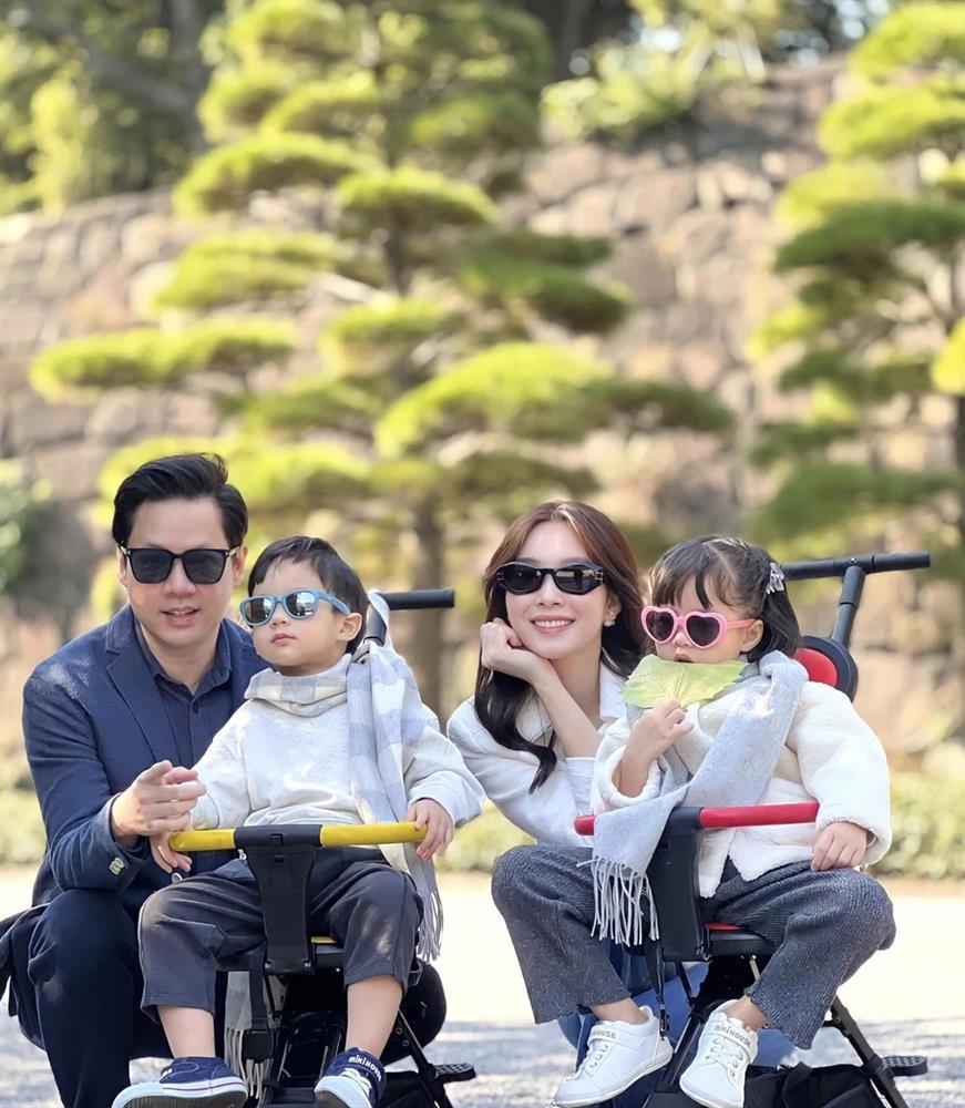 Những người đẹp đình đám rút lui khỏi làng giải trí Việt sau khi được chồng đại gia rước về dinh-19