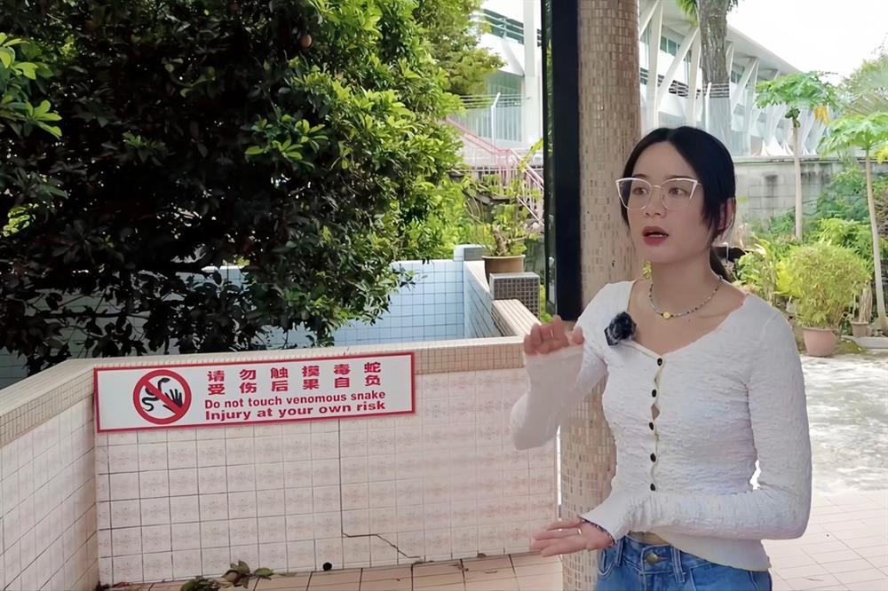 Khách Việt sởn gai ốc vào ngôi đền toàn rắn độc bò lổm ngổm trên đỉnh đầu-6