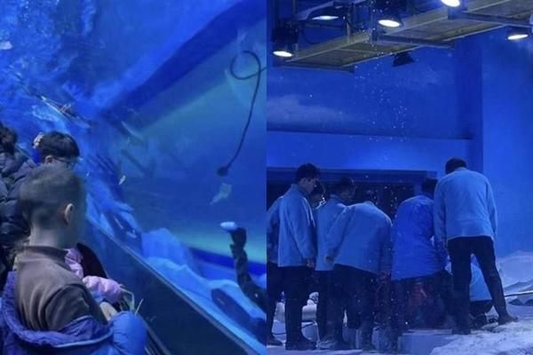 Tìm thấy thi thể nam sinh lớp 8 mất tích khi bơi ra biển cứu bạn-1