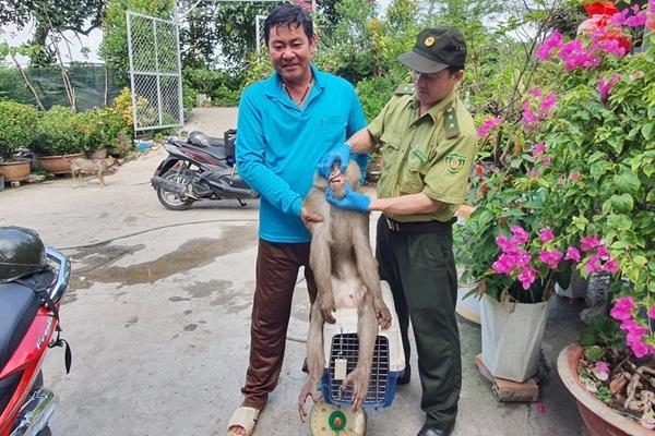 Kiểm lâm truy tìm con khỉ cắn 4 người dân ở TPHCM-1
