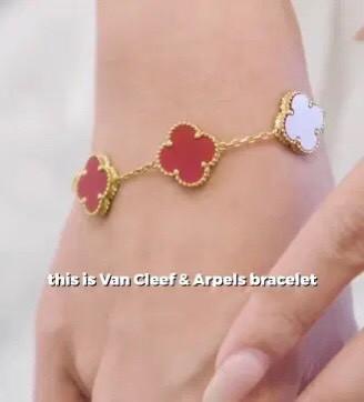 Sugar baby gây sốc diện nguyên một chiếc ô tô trên người dạo phố-3