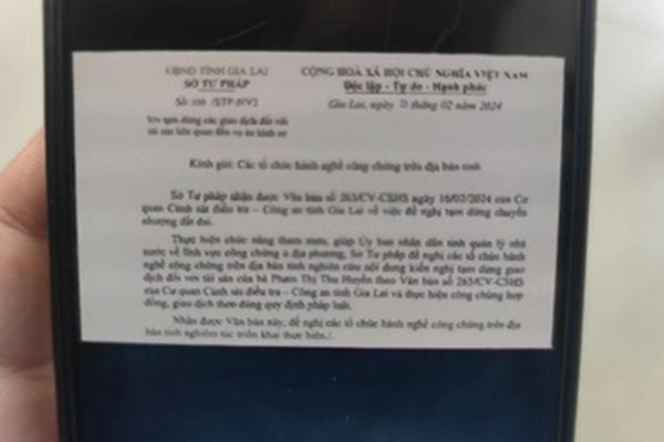 Nhiều người bị chiếm đoạt tiền vì mua vé máy bay trên Facebook-2