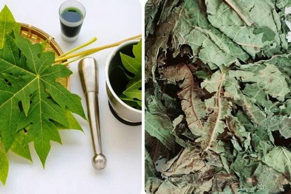 Điều gì sẽ xảy ra nếu bạn ăn đu đủ chín mỗi ngày?-2