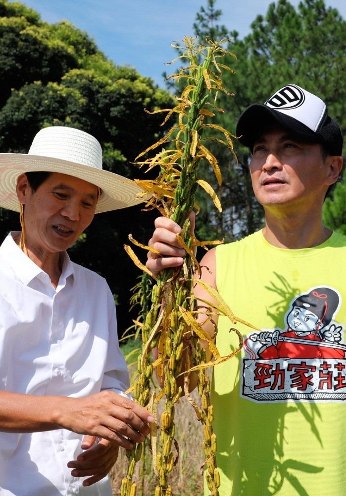 Triển Chiêu Hà Gia Kính lừa dối khán giả?-2