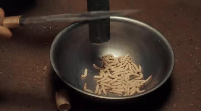 Khách Tây vào rừng sâu của Việt Nam, sợ hết hồn thử món sâu bò nhung nhúc-1