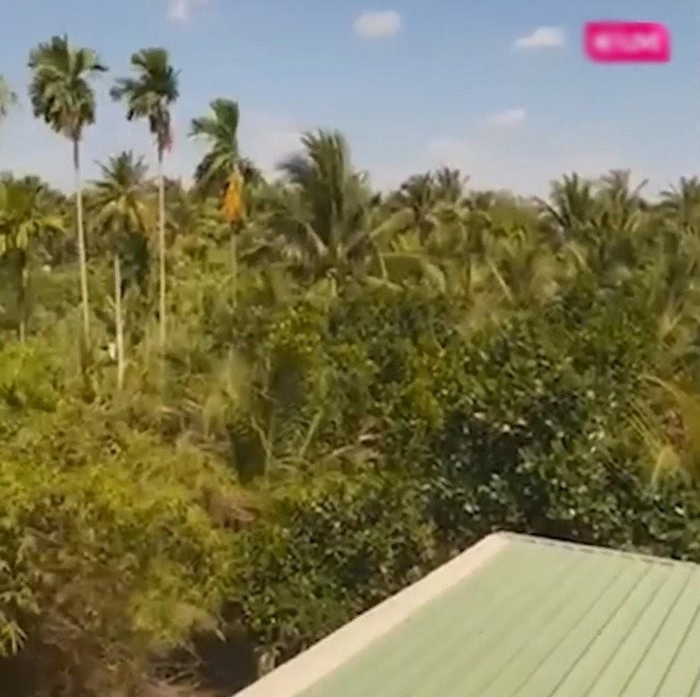 MC Quyền Linh khoe xây nhà khang trang cho mẹ ruột ở Tiền Giang, hút 5.000 người theo dõi livestream, khoe món quà tân gia độc lạ-12