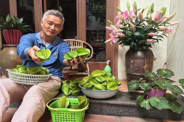 Chuyện chưa kể về người đứng sau Đào, Phở Và Piano-6